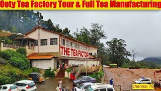 How Tea is made in OOTY? | OOTY TEA FACTORY VLOG | OOTY TELUGU VLOGS #ooty