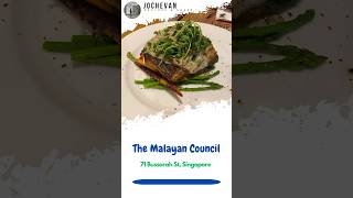 THE MALAYAN COUNCIL #shorts