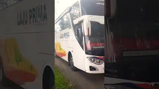 BUS LAJU PRIMA BERANGKAT DARI TERMINAL SRAGEN‼️#shorts #busmania #huntingbus #lajuprima #terminal