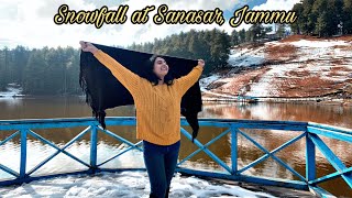 ❄️ Fresh Snowfall | Sanasar Jammu ❄️ #Shorts #Jammu #snowfall #DeepakRathoreProject