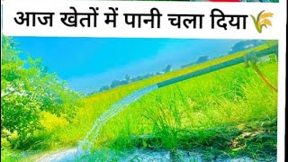 आज खेतों में🌾पानी चला दिया🧑‍🌾|| subscribe my YouTube channel🙏||#farmer #minivlog #viral_video #video