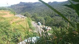 Most beautiful places in Nuwara eliya Sri Lanka . Trending viral video in youtub tourist attractions