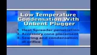 Elements Obturation Unit - Low Temperature