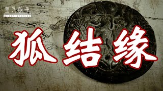 【灵异故事】狐 结 缘