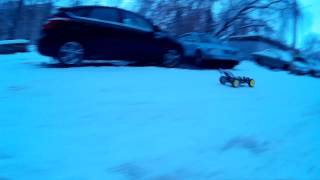 HSP 1/8 buggy 4s winter run