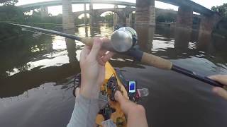 Philly Flatheads and Breaking in a New Reel