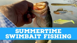 Swimbaits were Harmed While Making this Video 🤕🪦 | The 90/10 Rule