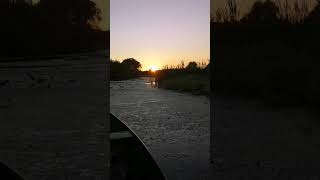 Звуки природы. Закат солнца. Nature and Sunset #shorts #sunset #nature