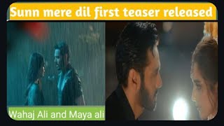 Sunn mere dil first teaser ||Courtesy to geo tv||wahaj ali and maya ali