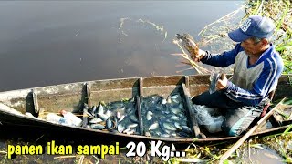 Rezeki berlimpah !! Ratusan ikan tercyduk didalam semua bubu sampai 20 Kg