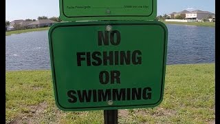 No Fishing in Riverview, Fl sign!! I think I'll fish anyways!