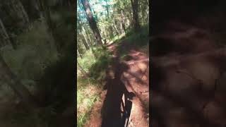 This MTB Trail is Arm Workout (Roots Riding/Arm Pump) #shorts