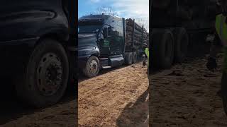 Logging #logging #trucking #logtruck