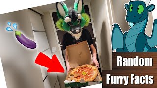 RAPPER kauft SCAM FURSUIT | FURTUBER nimmt Fans aus | Random Furry Facts #20