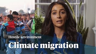 Climate migration | Maya Goodfellow