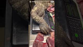 Chef cut crocodile amazing cooking food #shortvideo #crocodile #shorts #food #cooking #chef