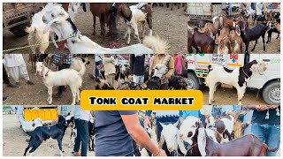 8MAY TONK BAKRA MANDI LIVE UPDATES/GOAT MARKET COVER WITH PRICE/RAJASTHAN BIGGEST MANDI#live#tonk