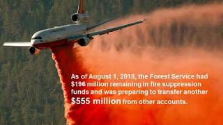 Full Community Costs of Wildfire