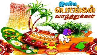 Whatsapp status Happy Pongal | இனிய பொங்கல் நல்வாழ்த்துக்கள் | Pongal whatsapp status video