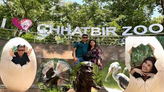 CHHATBIR ZOO Punjab!(चिड़ियाघर)!#chhatbirzoo #zooanimals #zooanimalsforkids #tiger@Amitnegi_india_poland