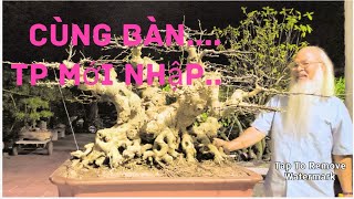 Cùng bàn luận những TP mới nhập về vườn ông Sinh Khương