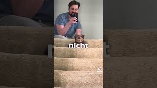 Twix steigt zum ersten Mal übersetzt ins Deutsche die Treppe hinauf.#German