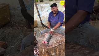 KASIMEDU SPEED SELVAM FISH CUTTING VIDEO / cutting focus #kasimeduselvam #bigfishcutting