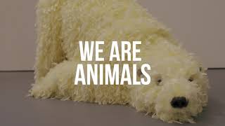 We Are Animals