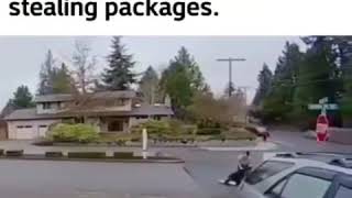 Stealing someone's package