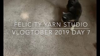 Felicity Yarn Studio Vlogtober Day 6