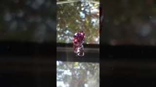 Genuine Rubellite Tourmaline from thecoveatfoxhollow.com