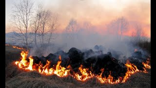 Cultural Burning Practices in California