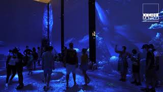 Oceanographic Museum of Monaco: "IMMERSION" Exhibition 2020