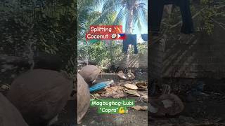 Splitting 🪓🥥 Coconut 🇵🇭💪#trending #youtubeshorts #shortsvideo #shortsfeed #shorts #explore #new #yt