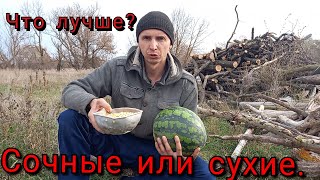 Какие корма лучше? Сочные или сухие.