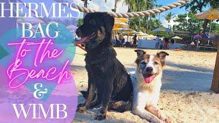 AN HERMÈS BAG FOR THE BEACH, WIMB & MY NEW PUPPY! | Sentosa, Singapore