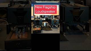 Sneak peek # 1 - New Flagship Loudspeaker #loudspeaker #hifi #highendaudio #audiophile #thebest