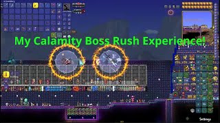 My experience on the finale of Calamity Terraria (Boss Rush)