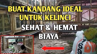 CARA BUAT KANDANG KELINCI IDEAL,HEMAT BIAYA & SEHAT UNTUK POPULASI TERNAK