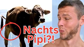 Nachts Pipi? Das ist der Grund (& Lösung)