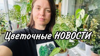 Цветочные НОВОСТИ