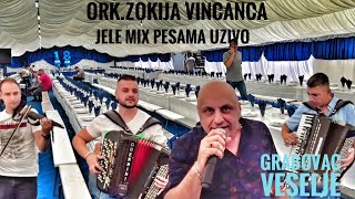 Jele Ork.Zokija Vincanca live veselje Maksimovic (Grabovac)2022