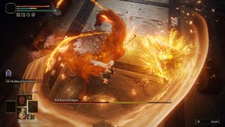 Elden Ring Moveset Mod Boss Fight, Kill Red Wolf of Radagon in 1 hit, 2nd