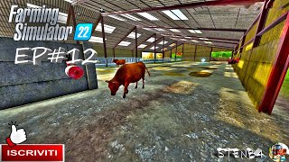 Farming Simulator 22 ita EP#12 LE MUCCHE DA CARNE ROSSE  map the valley the old farm #sten84