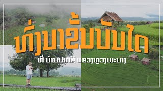 Wonderful of rice terraces and home stay in Luang Prabang ທົ່ງນາຂັ້ນໄດທີ່ບ້ານປາກຊີ ຫລວງພະບາງ