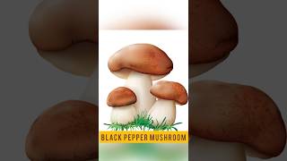 Easymushroomblackpepper | 2023 ka Best food challenge 😍|| Eating our favourite food  But …😱#shorts