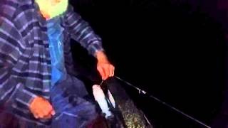 Catching Catfish: Baiting Trotlines with Worms