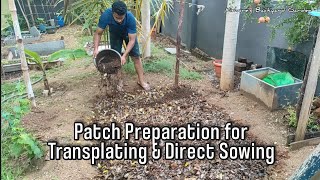 Simple & Effective Soil Preparation for Transplating saplings & direct sowing