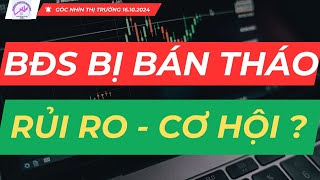 Chứng Khoán Hôm Nay | Nhận Định Thị Trường : Cổ Phiếu BĐS Bị Bán Tháo, Đánh Giá Rủi Ro và Cơ Hội