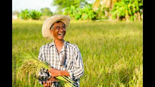 "Behind every meal is a hero in the field! 🌾❤️ Let's celebrate our farmers! #FarmersAreHeroes#thank